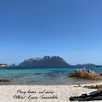 Oasy Sul Mare