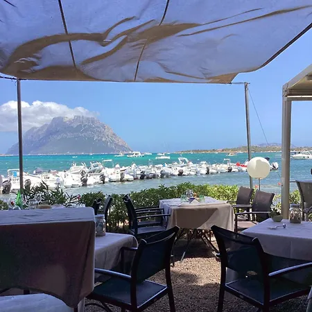 Oasy Sul Mare Apartment