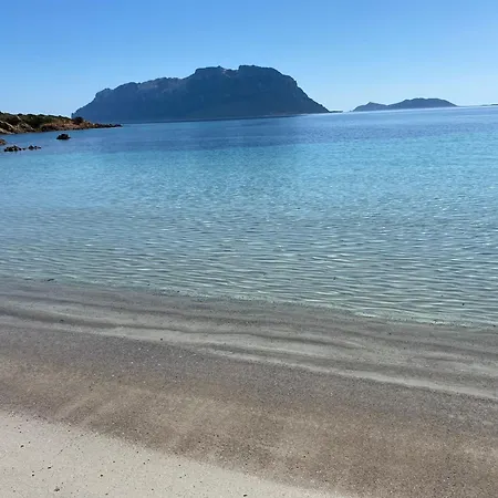 Oasy Sul Mare * Olbia