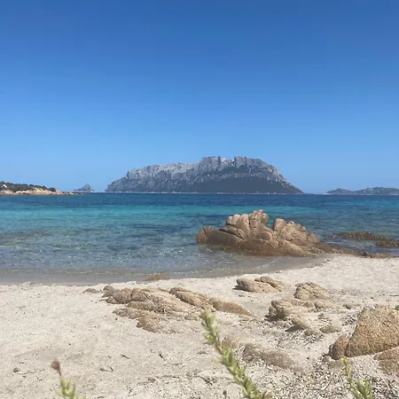 Apartment Oasy Sul Mare Olbia