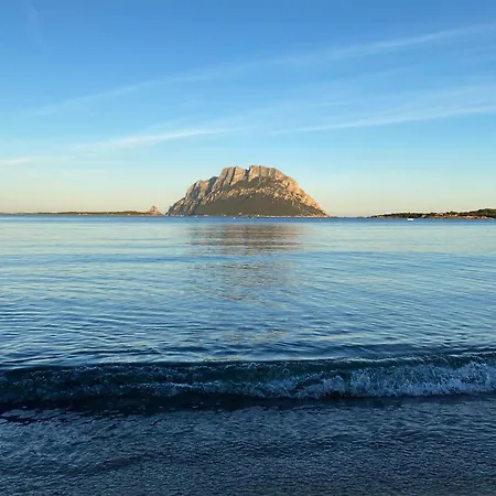 Oasy Sul Mare *