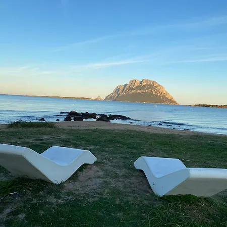 Oasy Sul Mare Apartment