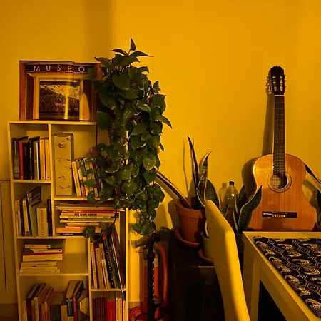 Oasy Sul Mare * Olbia