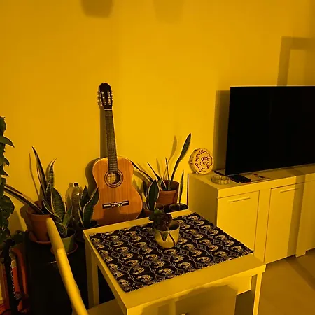 Oasy Sul Mare * Olbia