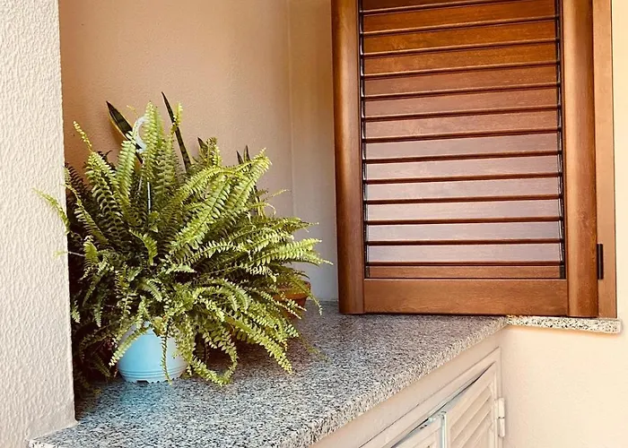 Oasy Sul Mare Apartamento *