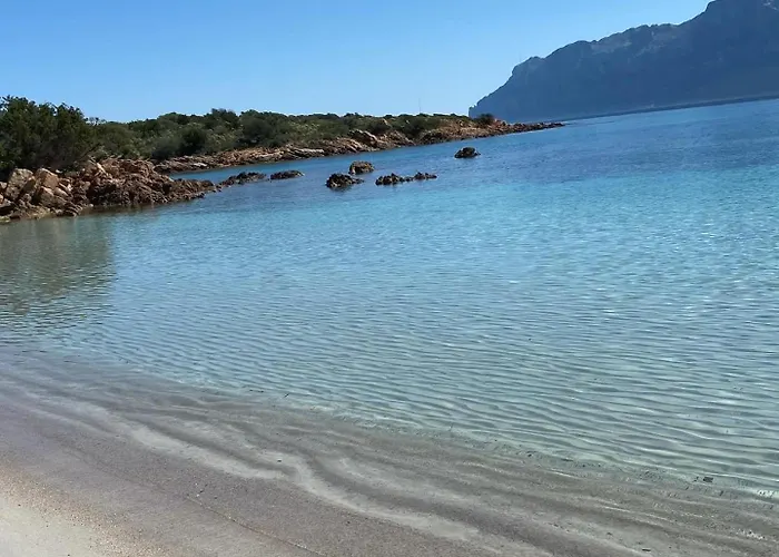 Apartamento Oasy Sul Mare *