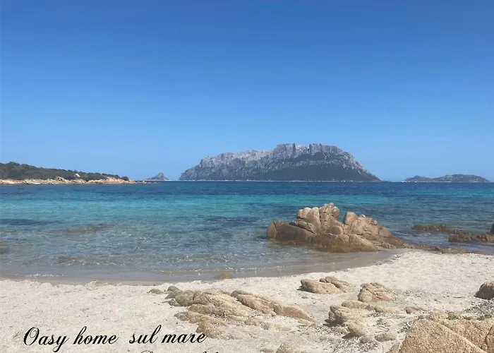 Lägenhet Oasy Sul Mare Olbia